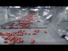 Linha de processamento de alimentos para animais de estimação de extrusão de alimentos para cães com certificado CE totalmente automático