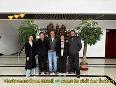 Linha automática de produção de alimentos para animais e alimentos para gatos, o cliente do Brasil