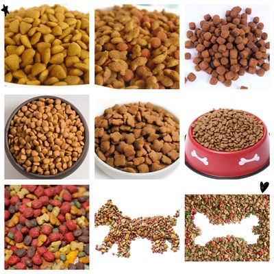Máquina de processamento de alimentos secos para animais de estimação / Máquina avançada de fabricação de alimentos para cães