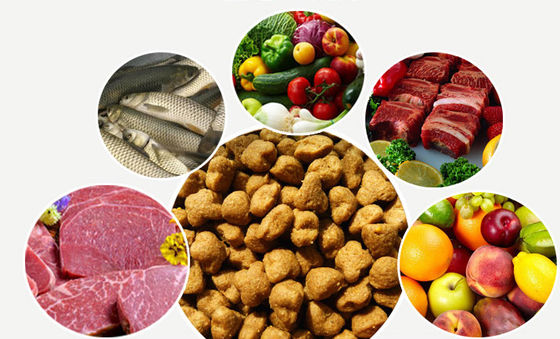SBN Máquina de Produção de Alimentos Favorita do Cão Totalmente Automática