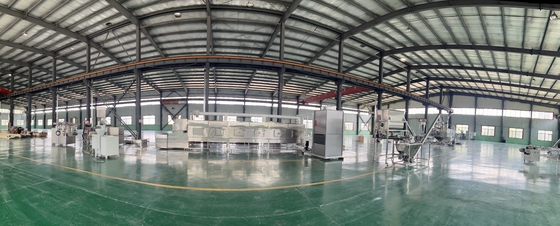 Fully Automatic Wet Pet Dog / Cat Food Production Line Saibainuo