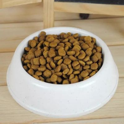 Máquina de pellets para alimentos para cães de 100 kg/h