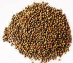Linha de Produção Completa de Ração para Peixes em Aço Inoxidável 200-300 Kg/h