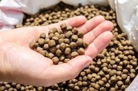 Máquinas de processamento automático de grânulos de alimentação para peixes
