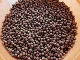 Máquina de secagem de flutuação da pelota do secador da alimentação da farinha de peixes da extrusora da alimentação dos peixes de Dsp 70