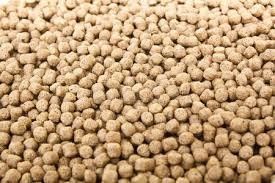 Linha de produção de rações de aves de capoeira 1-2 toneladas/h Máquinas de produção de rações de peixe