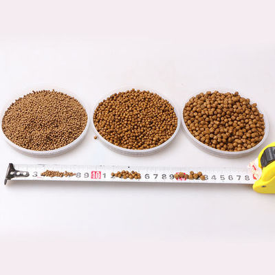 Máquina de ração flutuante para peixes SUS 304 com diferentes moldes