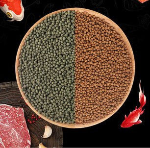 Máquina automática de processamento de grânulos para alimentos para peixes na fábrica de Saibainuo